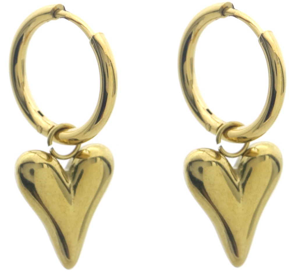 E-D17.3 E087-067G S. Steel Earrings Heart 3cm