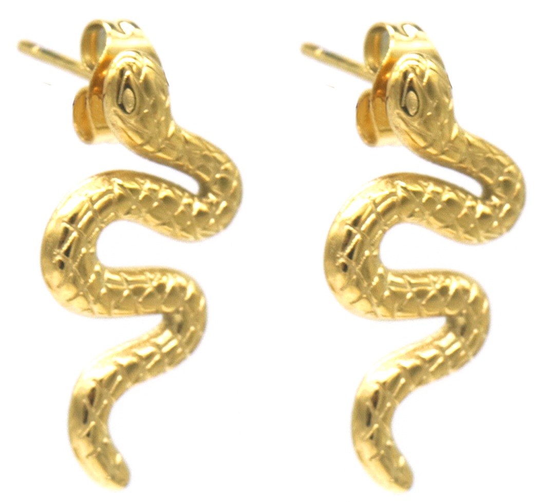 C-F20.2 E2457-060G S. Steel Earrings Snakes 2.5cm