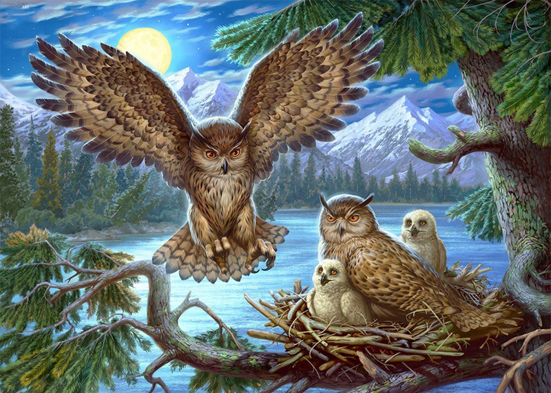 Q-L7.1 GC77801 Diamond Painting -Canvas 50x40cm - Painting 45x35cm Owl