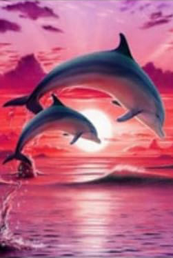 Q-P8.1 MR21275 Diamond Painting -Canvas 30x20cm - Painting 25x15cm Dolphins